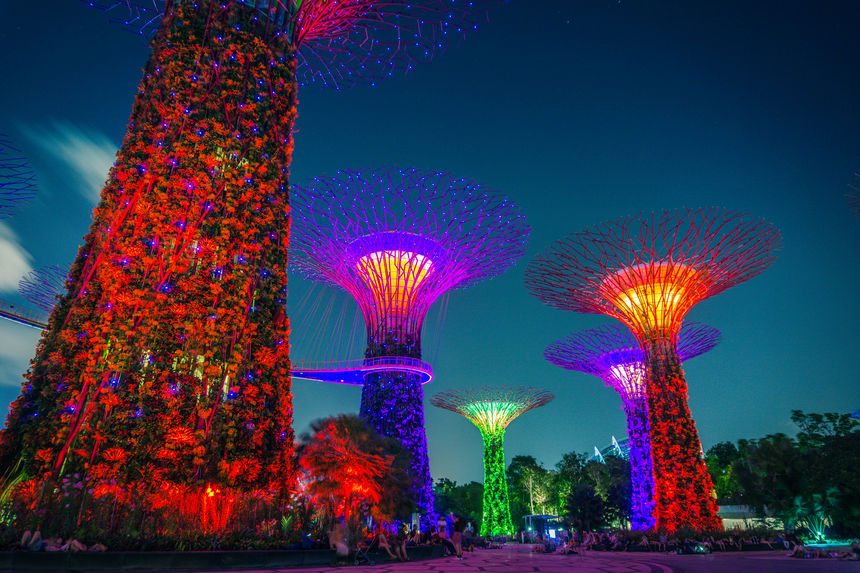Gardens by the Bay  - Gardens by the Bay
