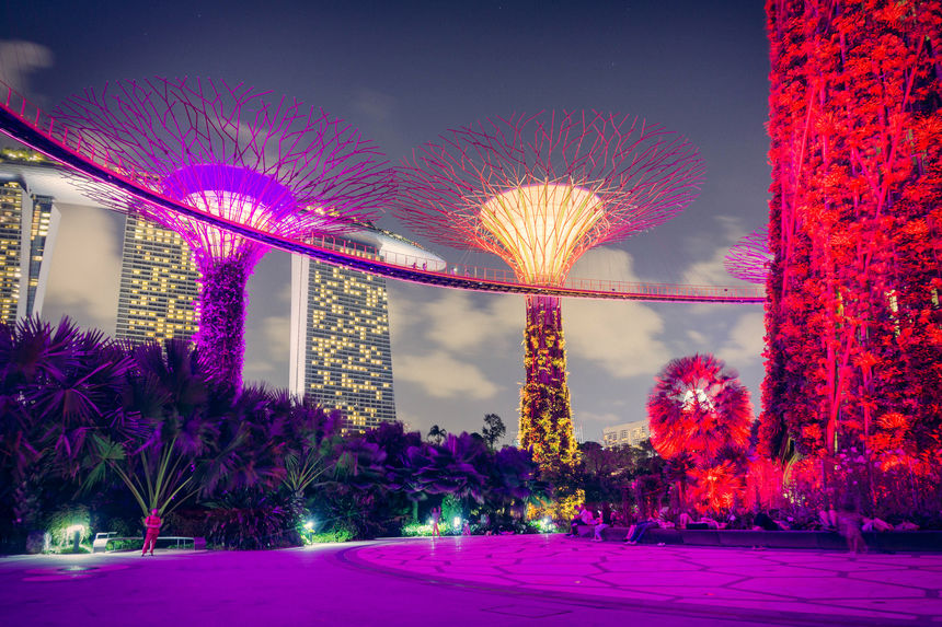 Gardens by the Bay  - Gardens by the Bay with Marina Bay Sands Hotel in the Background
