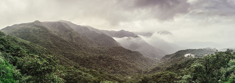 Yangmingshan National Park 陽明山國家公園  - Yangmingshan National Park 陽明山國家公園