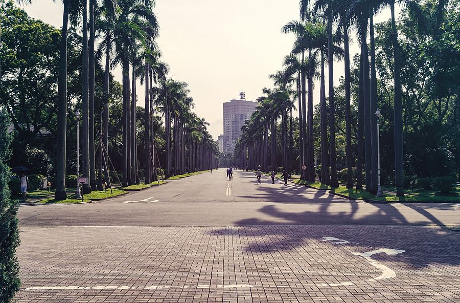National Taiwan University  - Main University Avenue